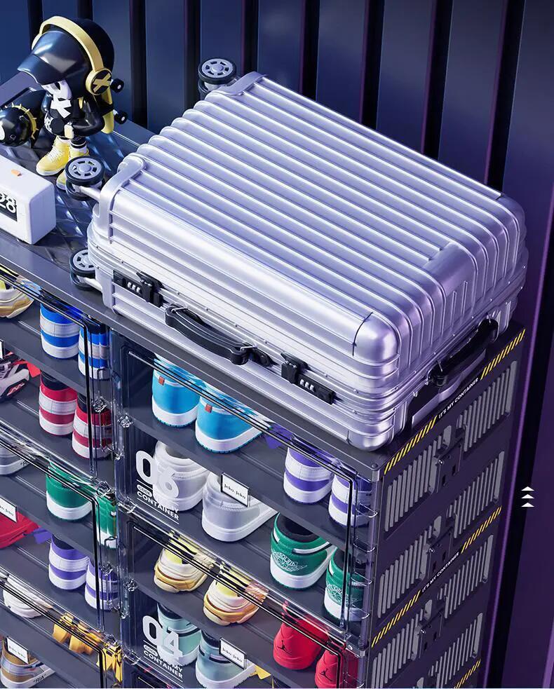Dust-Free Black Portable Shoe Organizer
